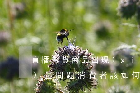 直播帶貨商品出現(xiàn)質(zhì)量問題，消費者該如何維權(quán)？